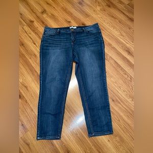 Cato Women’s Plus Size Jeans Size 22W Waist 44” Inseam 29”